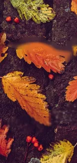 Autumn leaves with dark brown background for mobile wallpaper.