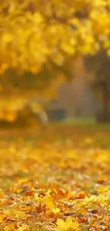 Golden autumn leaves scattered across a grassy landscape.