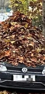 Car covered in vibrant autumn leaves, blending nature and urban art.