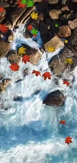 Autumn leaves scatter over ocean rocks with vibrant blue sea.