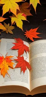 Autumn leaves covering an open book, creating a vibrant fall scene.