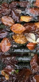 Autumn leaves resting on wet ground with rainwater ripples.