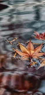 Autumn leaves floating on reflective water with brown and orange hues.