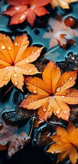 Vibrant orange autumn leaves floating on water.