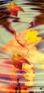 Autumn leaves floating on rippling water surface.