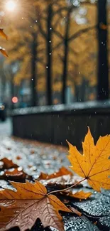 Autumn leaves on wet pavement in city setting.