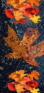 Orange autumn leaves on rain-soaked pavement with ripples.