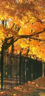 Scenic autumn pathway with vibrant orange leaves on trees.