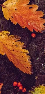 Vibrant orange autumn leaves on a dark textured background.