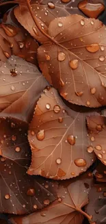 Autumn leaves with raindrops wallpaper