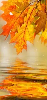 Vibrant autumn leaves reflecting over water, creating a serene mobile wallpaper.