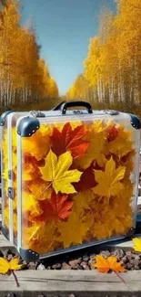 Clear suitcase filled with autumn leaves on railway tracks.