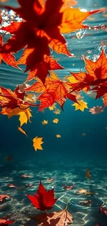 Autumn leaves gracefully float underwater, showcasing vibrant colors.