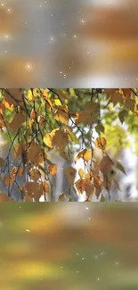 Beautiful autumn leaves with a bokeh background on mobile wallpaper.