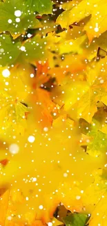 Golden autumn leaves with delicate snowflakes, perfect for seasonal mobile wallpapers.