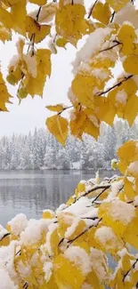 Yellow autumn leaves covered in snow by a lake.