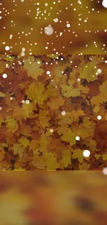 Yellow autumn leaves with gentle snowfall.