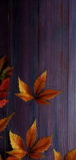 Vibrant autumn leaves on a rustic wooden texture background.