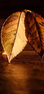 Autumn leaves resting on warm wooden surface.