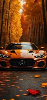 Luxury sports car on an autumn road with orange foliage.