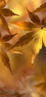 Golden maple leaves in autumn, creating a serene mobile phone wallpaper.