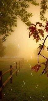 Foggy autumn morning scene with colorful leaves and wooden fence.