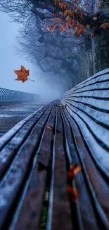 Misty autumn park path with fallen leaf and rustic bench.