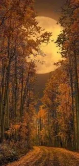 Autumn forest under a full moon, featuring a tranquil path and vibrant fall colors.