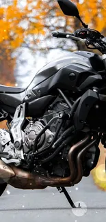 Black motorcycle on an autumn road with vibrant orange foliage.