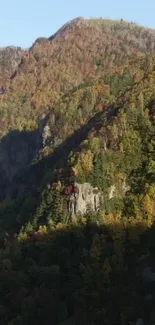 A scenic view of autumn foliage on a mountain landscape in vibrant colors.