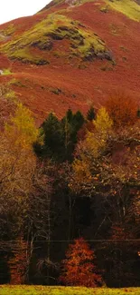 Autumn landscape with colorful foliage and mountain.