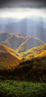 Autumn mountain landscape with sunlight illuminating vibrant foliage.