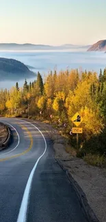 Scenic winding road with autumn trees under a misty sky.