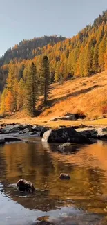 Autumn landscape with stream and vibrant foliage.