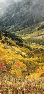Autumn mountain valley with colorful trees and misty atmosphere.