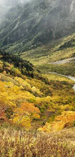 Autumn landscape of a colorful mountain valley with misty skies.