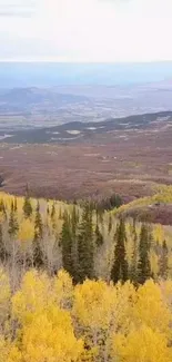 Autumn mountainscape with yellow foliage and distant landscape view.