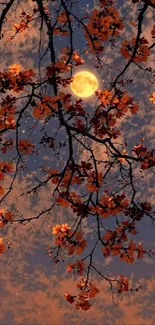 Moonlit branches with autumn leaves under a night sky.