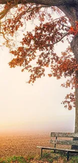 Serene autumn scene with a park bench under a tree.