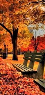 Park bench surrounded by vibrant autumn leaves.