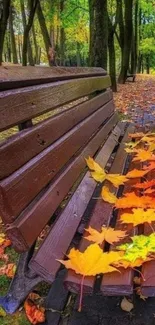 Wooden bench with colorful autumn leaves in a park setting.