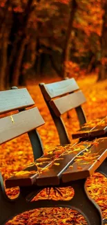 Autumn park bench amidst vibrant fall foliage and orange leaves covering the ground.