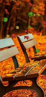 Two empty benches surrounded by vibrant autumn leaves.