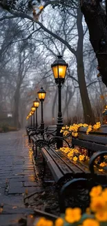 Foggy autumn park with benches, lamps, and yellow flowers.