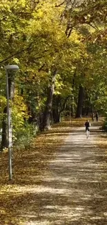 Mobile wallpaper of an autumn park with a leafy pathway.