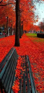 Autumn park path with red-orange leaves and bench.