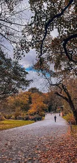 Scenic autumn park pathway with vibrant fall colors and leaf-covered walkway.