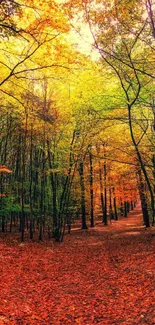 Serene autumn forest path with vibrant leaves and tall trees.