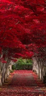 Vibrant red forest path lined with autumn leaves and trees.