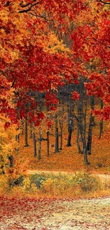 Vibrant autumn forest path with red and orange leaves.